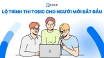 Lộ trình luyện thi TOEIC hiệu quả cho người mới bắt đầu