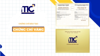 Chứng chỉ Thương mại điện tử